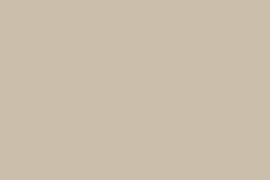 Plain beige color background image.