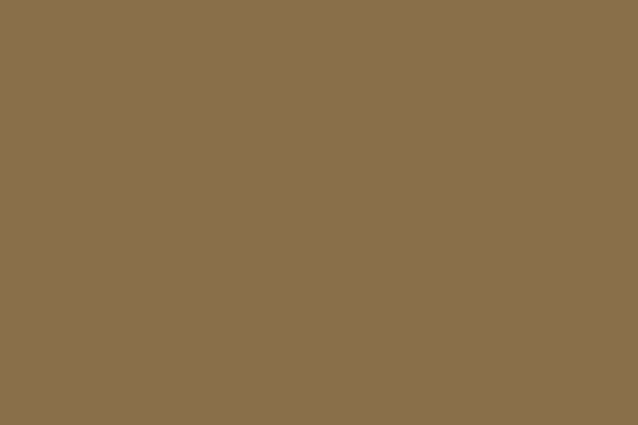 Solid brown color background.