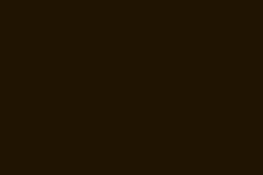 Solid dark brown color background.
