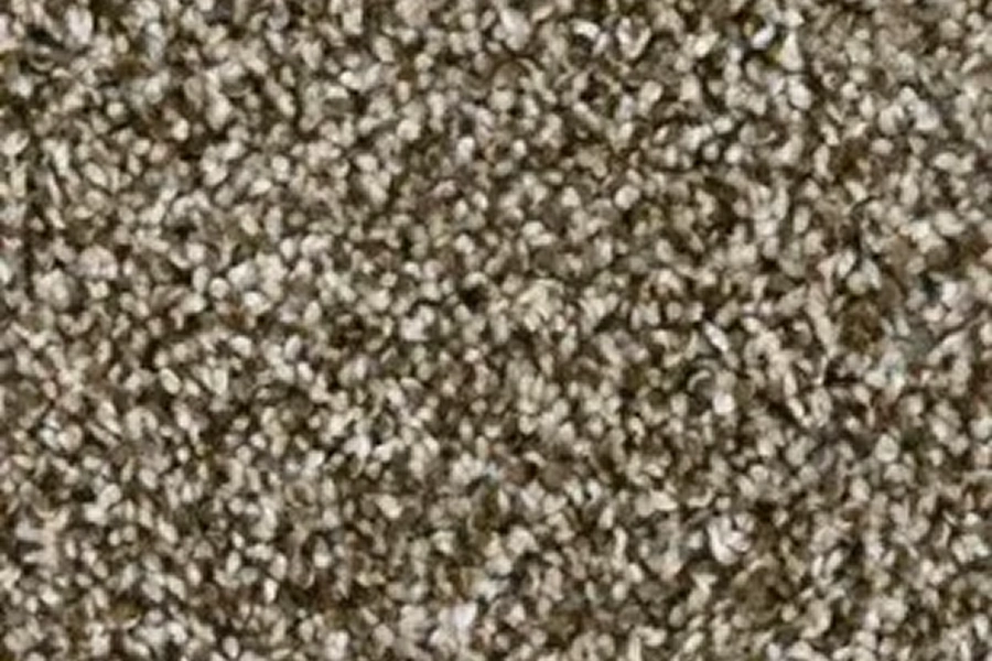 Brown textured carpet close-up view.