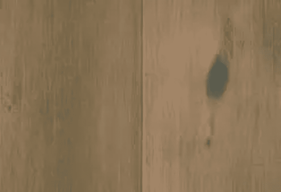 Wooden floor with visible dark knot.
