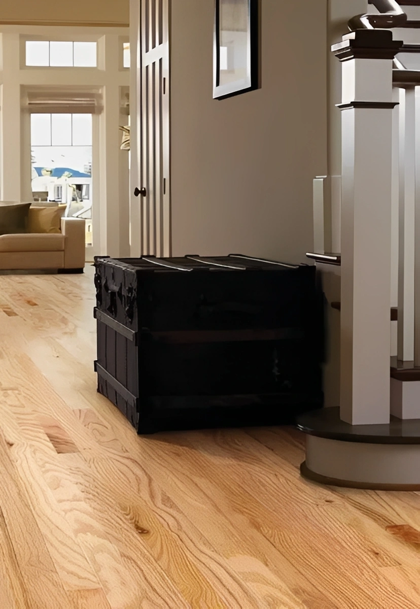 Wooden floor hallway with black storage chest.