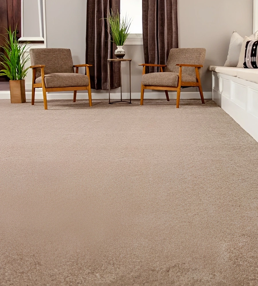 Modern living room with beige carpet flooring.